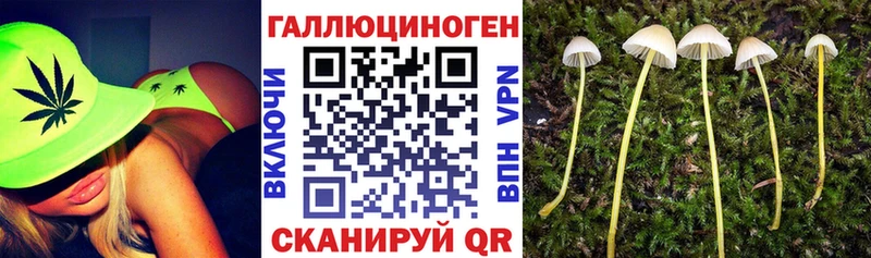 Галлюциногенные грибы прущие грибы  продажа наркотиков  blacksprut ссылка  Поворино 